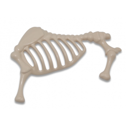 Playmobil® 30061994 Squelette d'animal