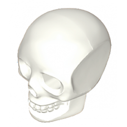 Playmobil® 30207072 Crâne squelette
