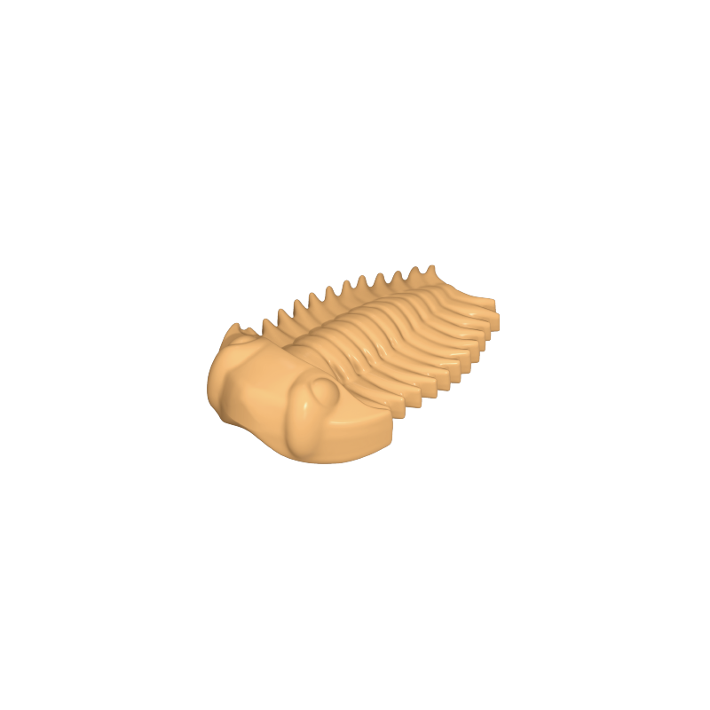 Playmobil® 30243072 Fossile Trilobite